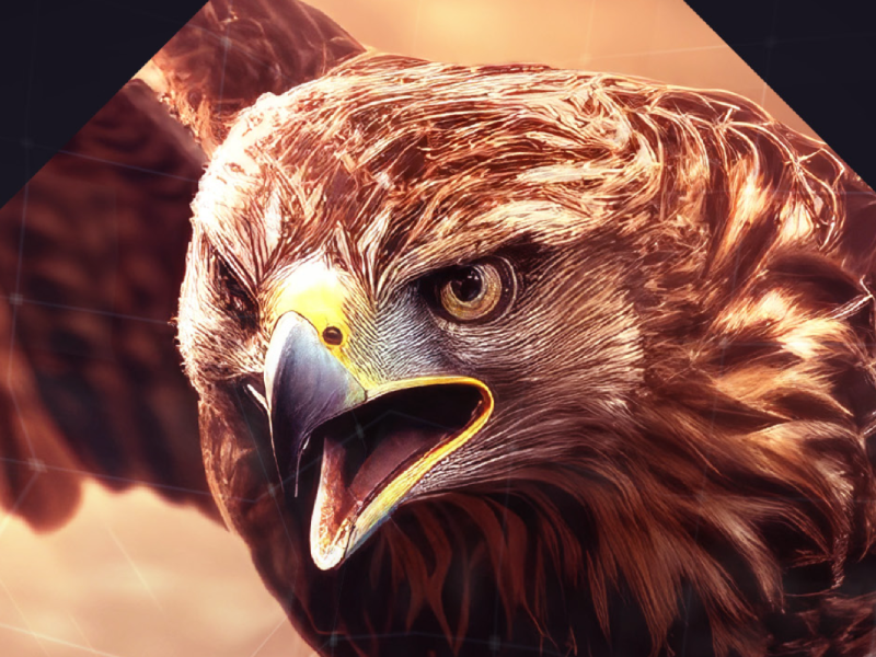 DNS Predators Report: Attack Vipers & Hawks