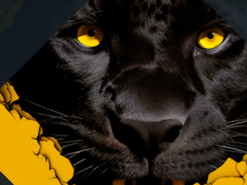 Prolific Puma: Link Shortening for Cybercrime